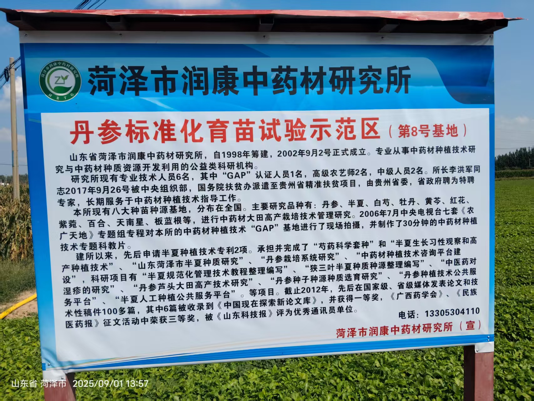 菏泽市润康中药材研究所8号丹参育苗基地