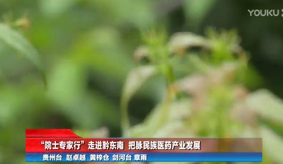 李洪军所长“院士专家行”走进黔东南 把脉民族医药产业发展