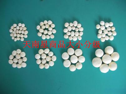 天南星苗后除草剂
